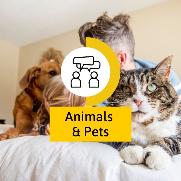 Animals and pets